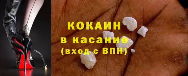 мет Бородино